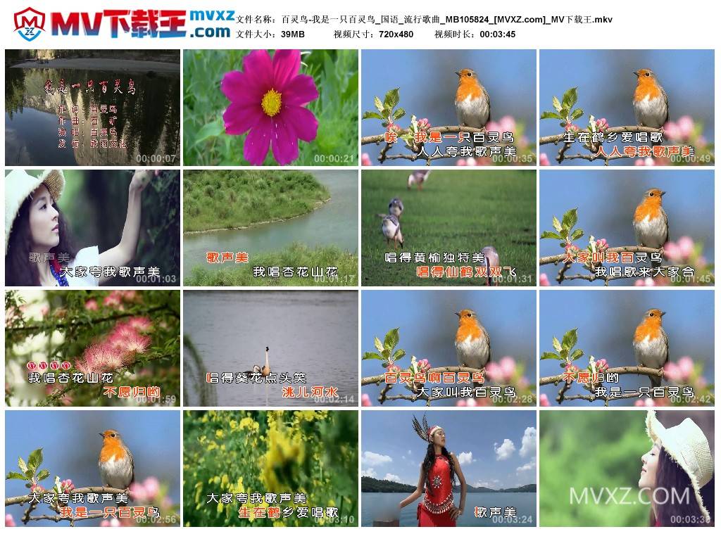 百灵鸟-我是一只百灵鸟_国语_流行歌曲_MB105824